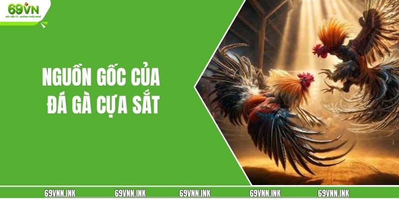 Nguồn gốc của đá gà cựa sắt