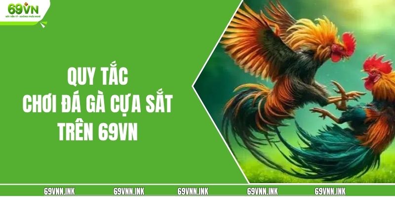 Quy tắc chơi đá gà cựa sắt trên 69VN 