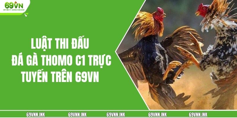 Luật thi đấu đá gà Thomo C1 trực tuyến trên 69VN